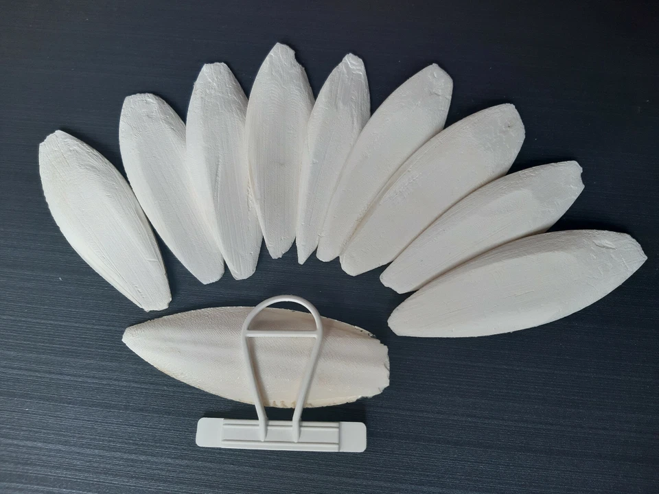 10 Sepiaschalen + 1 Halter, ca. 10 - 12 cm / 1A TOP Qualität / Vögel, Sepia