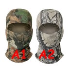 Afbeelding 3 van 33