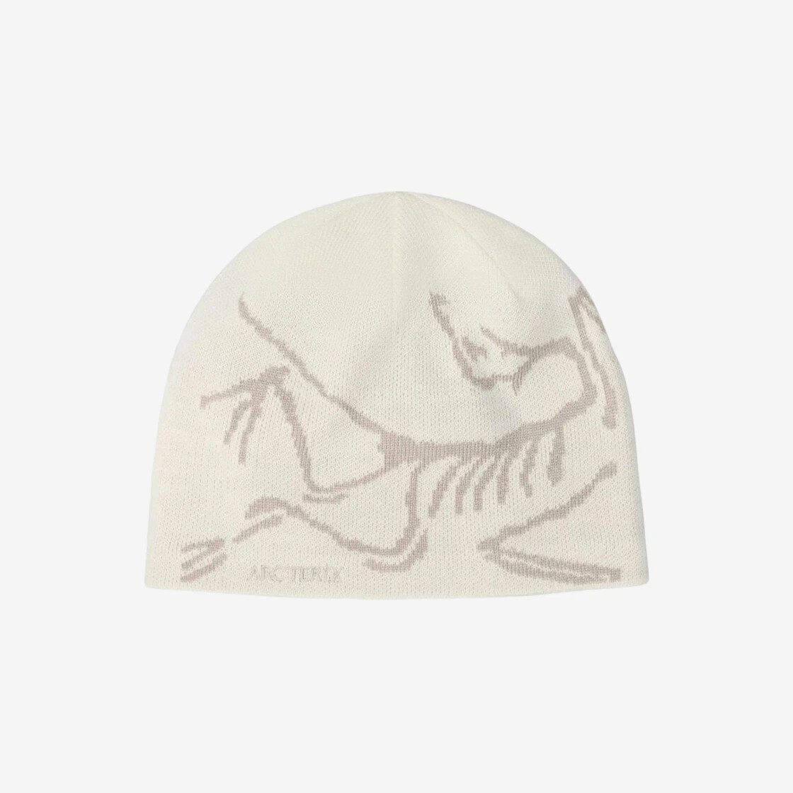 Arc'teryx testa di uccellino Toque Runa 6756
