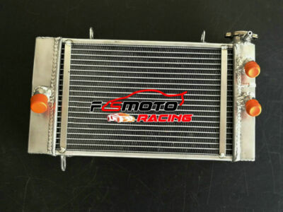 TZ250 Radiator 59W？ s-l400.jpg
