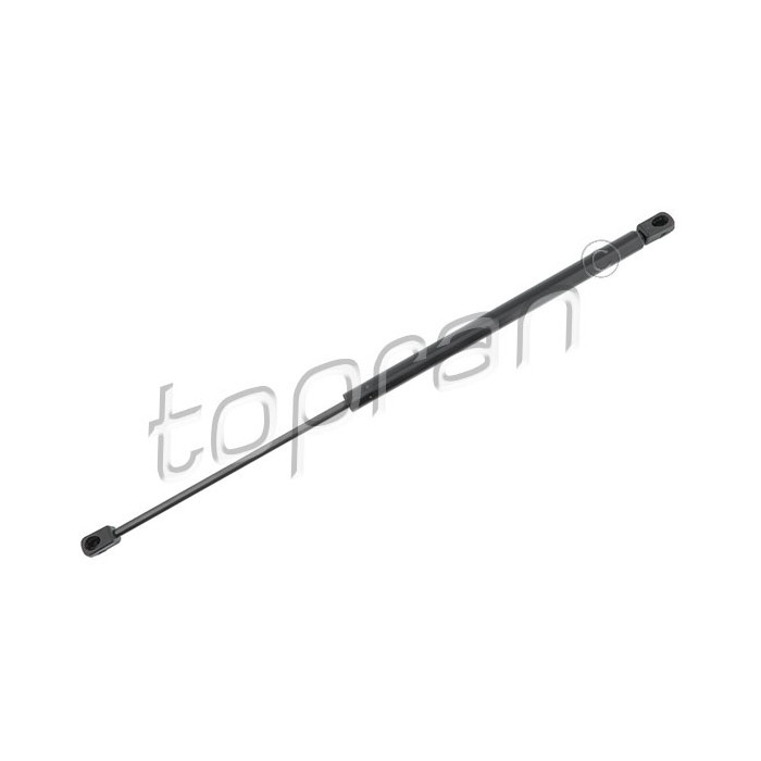 Hayon qui tombe ? Vérin de coffre arrière gauche Mercedes Classe B 1699800964 fixe le problème