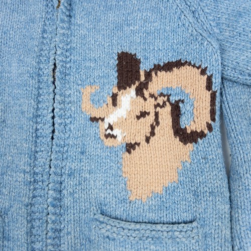 Suéter Cowichan Vintage Años 60 Adulto Se Ajusta Pequeño Alaska Ram Tejido Forrado Cremallera Azul - Imagen 7 de 14