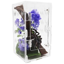 Jumping Spider Enclosure Terrarium Acrylic Kit Insect Habitat Tarantula Fit