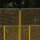 Bild 5 von 12
