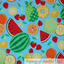 BonEful FABRIC FQ Cotton Quilt Aqua Blue Red Pink Watermelon Citrus Fruit Bright