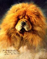 ** Chow Chow - CUSTOM MATTED - Vintage Dog Ar...