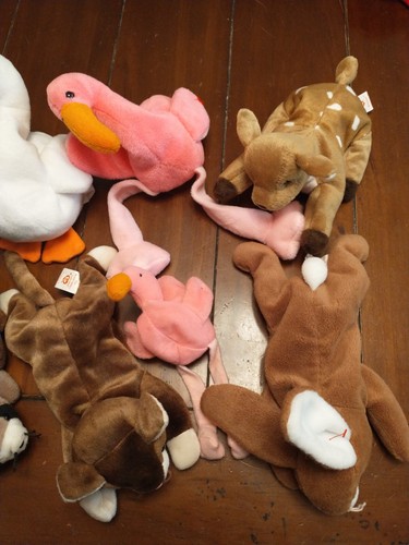TY Beanie Baby Lote de 10 Animales Estado Jugado Sin Etiquetas - Imagen 6 de 8