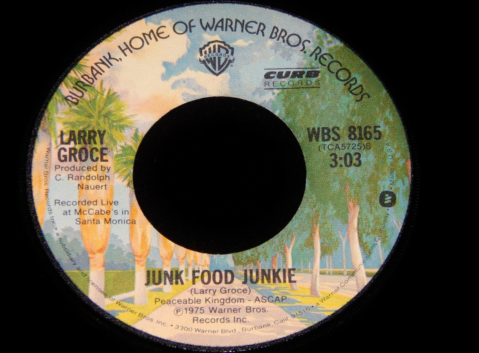 Vintage Record, LARRY GROCE JUNK FOOD JUNKIE & MUDDY BOGGY BANJO MAN