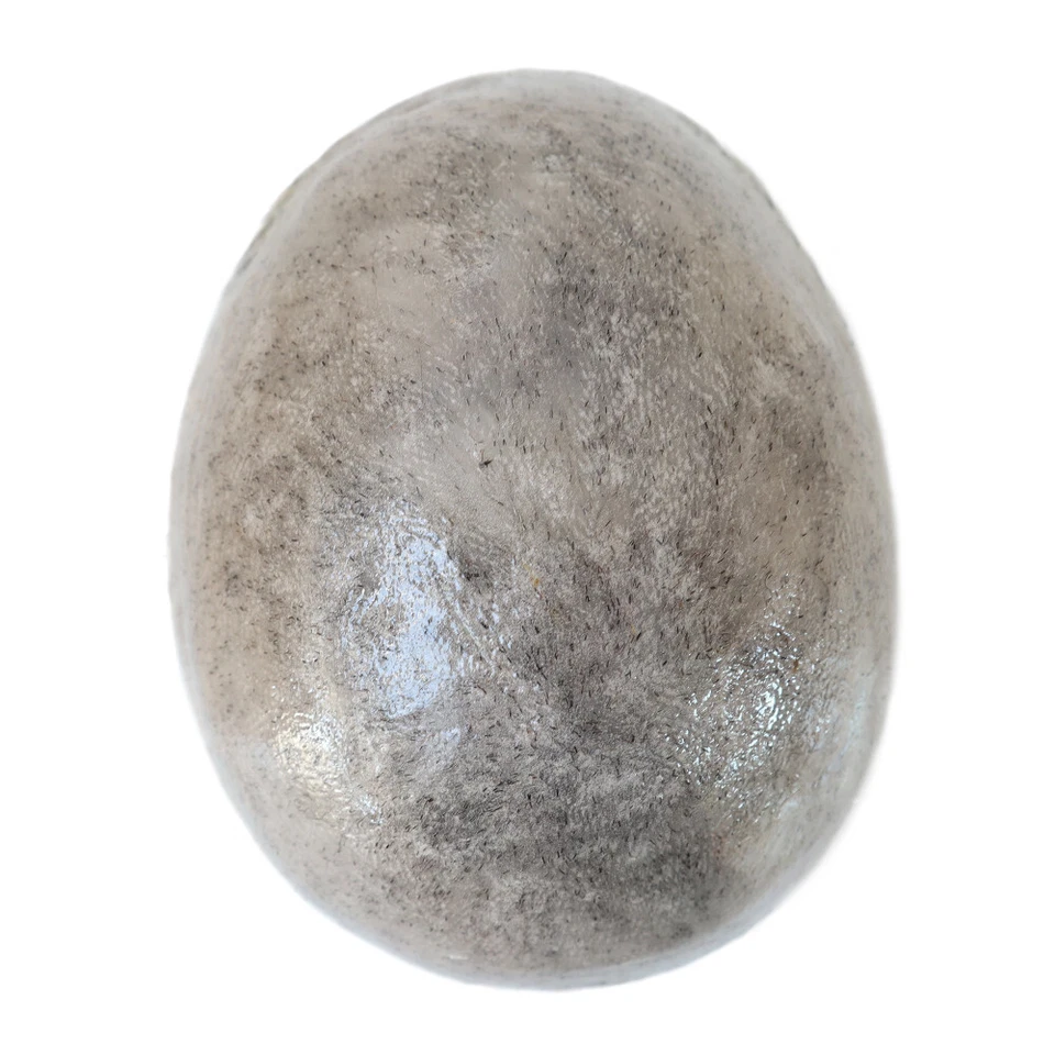 Full Poly Skin for Mens Toupee Injected PU Human Hair System Replacement Wig Men - Image 4 of 4