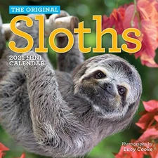 Original Sloths Mini Wall Calendar 2021 - Calendar By Cooke, Lucy - GOOD