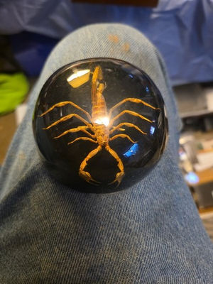 #ad Scorpion in Resin Large Paperweight or Display Piece $15.00