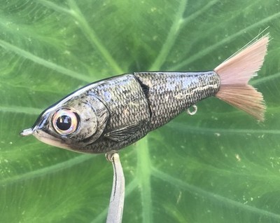 SPEEDBAITS Custom Airbrushed Glide Bait