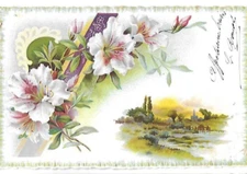Beautiful old postcard embossed with flowers and landscape 1905