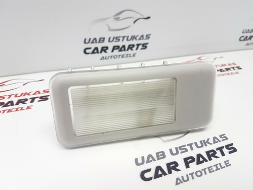 BMW X5 (E53) 2001 Sonstige Innenraumbeleuchtung 140929 GUST6491