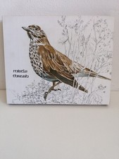 Melamine Tea Pot Stand of The Beautiful Mistle Thrush A J.R. Original Product UK