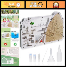 Large Ant Farm Castle with Viewing Area - Live Ant Habitat Kit - Educational Sci