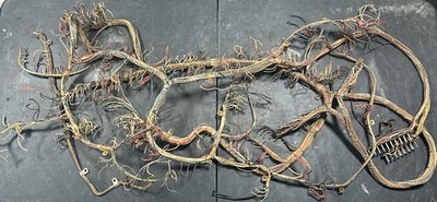 1965 Williams Pretty Baby Pinball Machine Wiring Harness