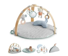 ingenuity activity gym