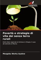Mezgebu Werku Ayalew | Povertà E Strategie Di Vita Dei Senza Terra Rurali | Buch