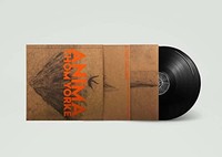 Thom Yorke - Anima - Vinyl Record 12 Album - E3447Z