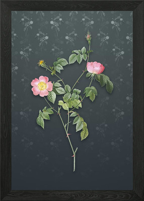 Rosa österreichische Kupfer Rose gerahmtes Wandbild Poster Leinwanddruck Bild