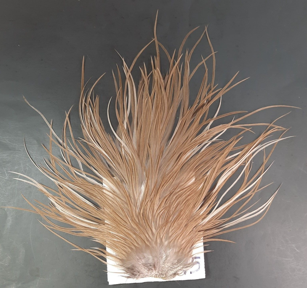 Dyed Medium Blue Dun Rooster Saddle Hackle Long Thin Dry Fly Tying