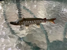 Vintage 6" Pike Ice Fishing Spearing Decoy (307)