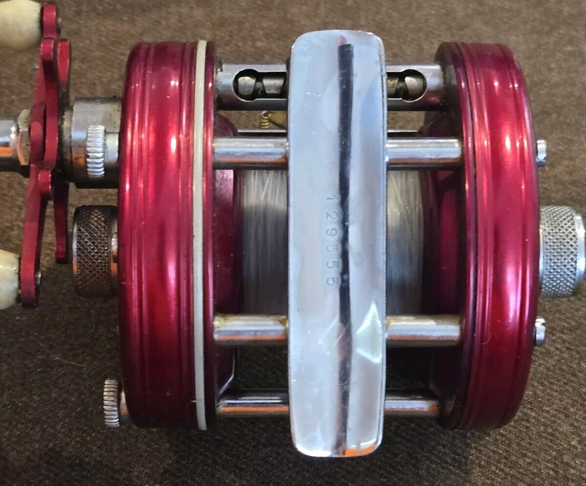 Picture 6 of 11