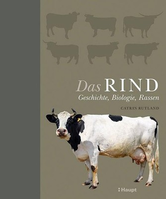 Das Rind Catrin Rutland