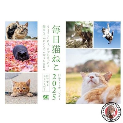 Mainichi Neko Tageskalender 2025 Shoeisha Kalender