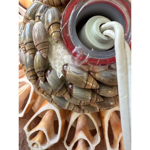 Vintage Natural Seashell flower Lamp Night Light Shell 6.5” retro nautical Mcm - Picture 9 of 14