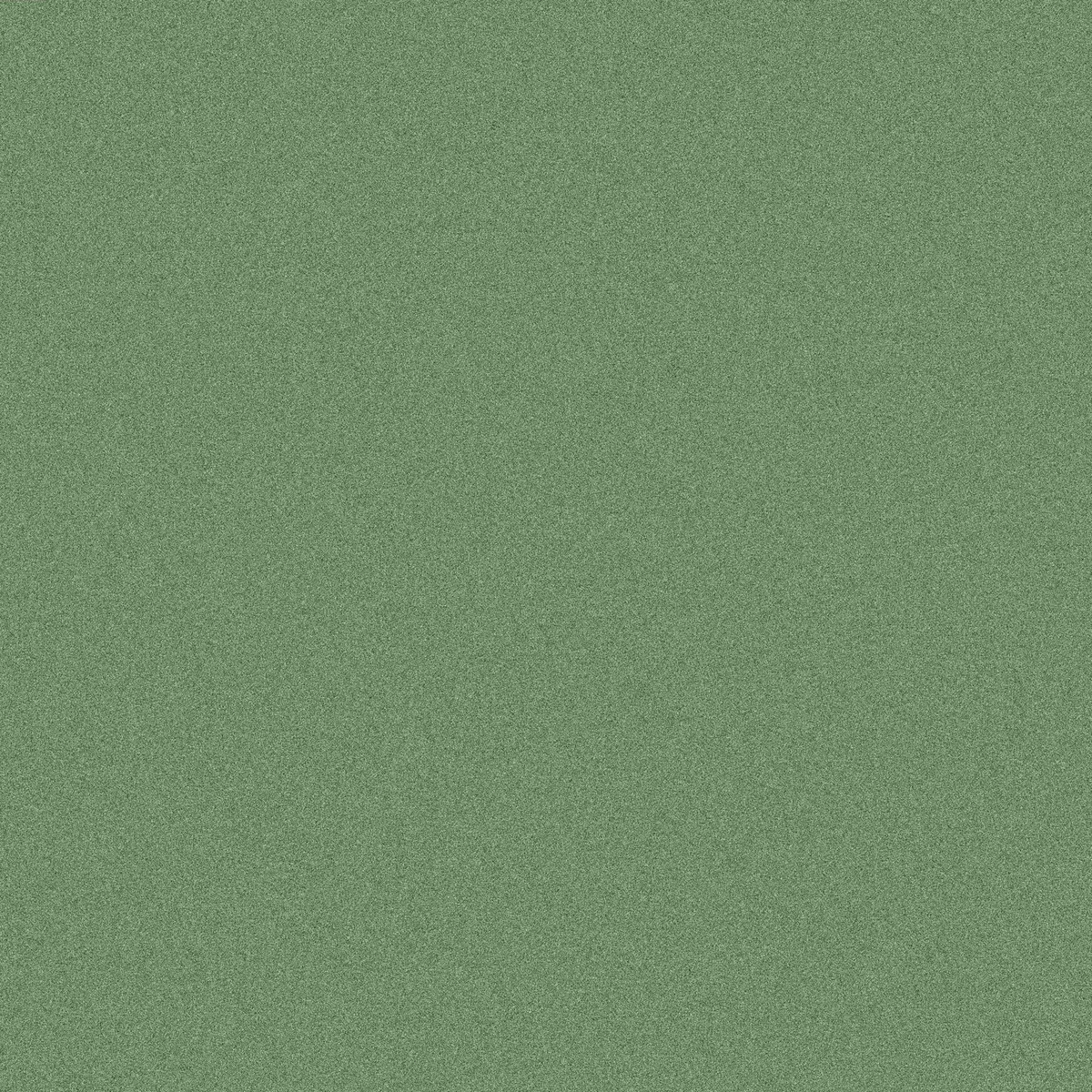 Sage | eBay