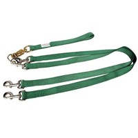 Pet Walker-plus Pet Leash For Dog, Large, Green, New, Free Shipping on sale Pet Walker-plus Pet Leash For Dog, Large, Green, New, Free Shipping on sale
