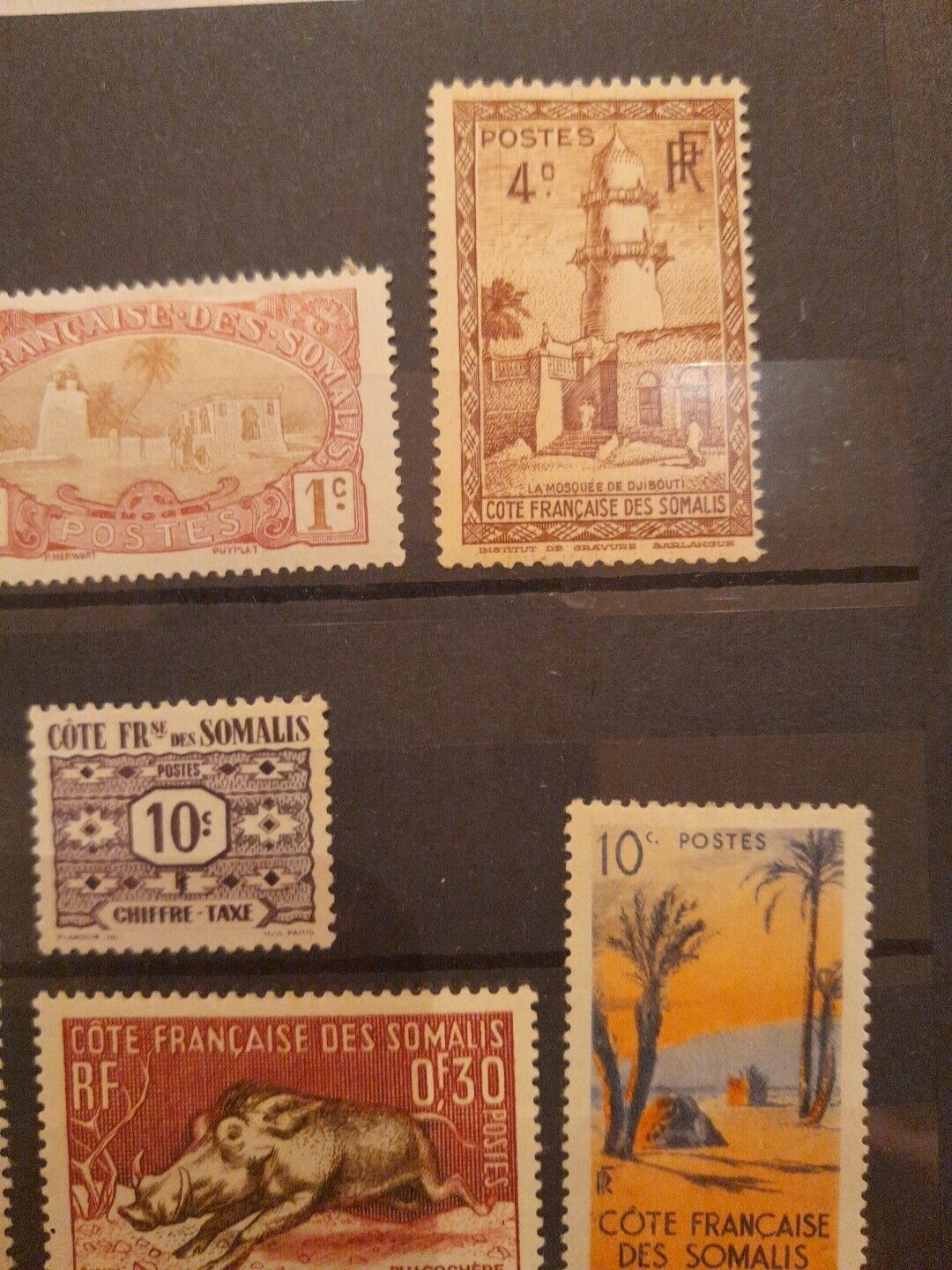 Bild 10 von 13