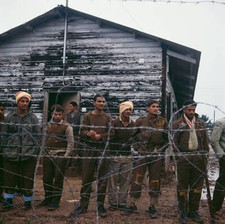 Egyptian Prisoners Of War In Israel 1967