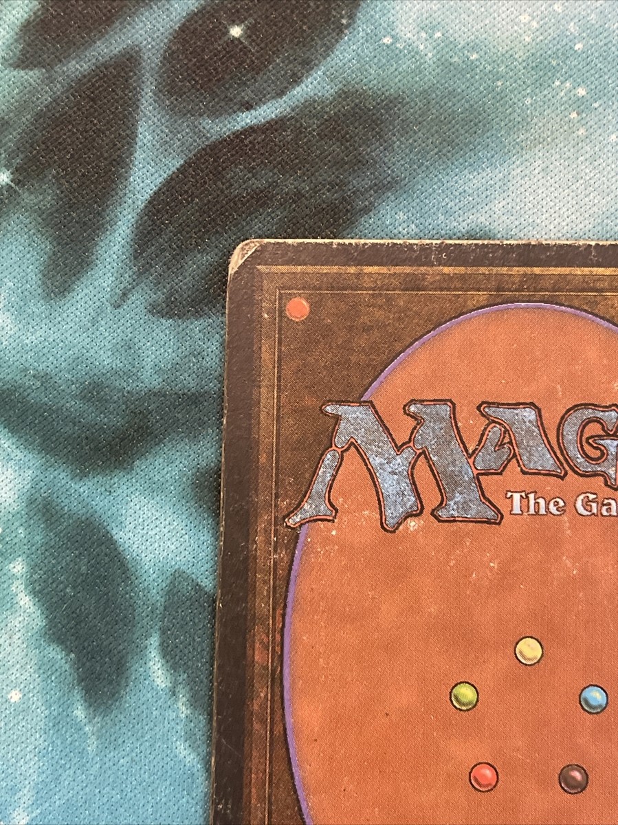 Taiga - HP - Unlimited - MTG - Artist Signed - Autographed Taiga - HP - Unlimited - MTG - Artist Signed - Autographed