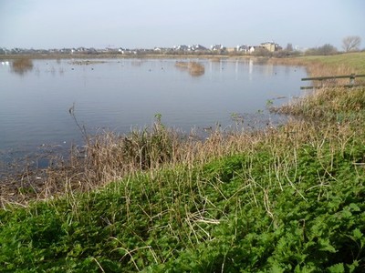 Photo A3 Looking across the Wader Scrape at the London Wetland Centre Ba c2012