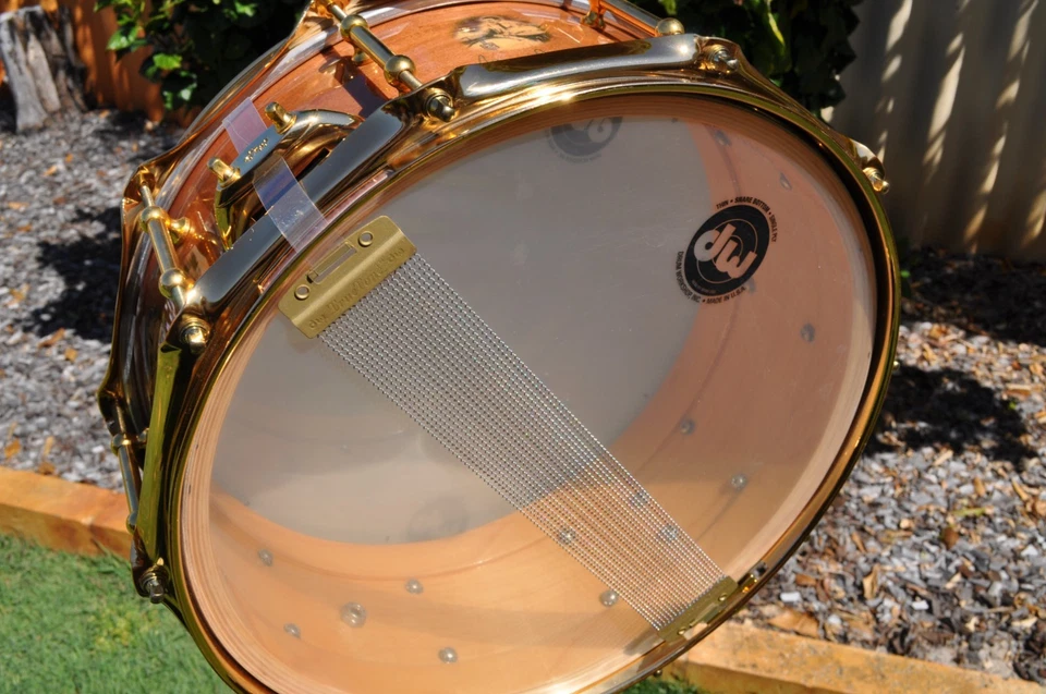 Rare DW Buddy Rich Snare Drum 14x5.5 Solid Maple Gold Hardware from 2006 UNUSED! - Image 4 of 4