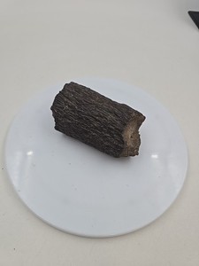 1.5 Pound Petrified Wood Piece Very Old