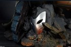 Bild 11 von 12