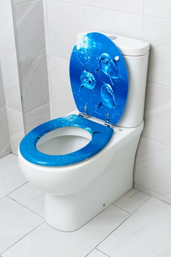 New Curvaso Fun Flush Novelty Print Toilet Seat MDF Quality Bathroom Accessories - Picture 3 of 17