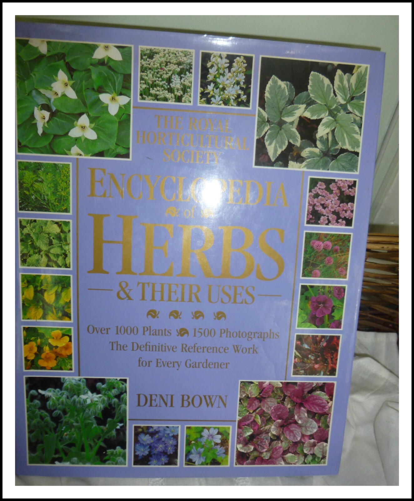 RHS Encyclopedia of Herbs & Their Uses by Deni Bown (Hardcover, 1995
