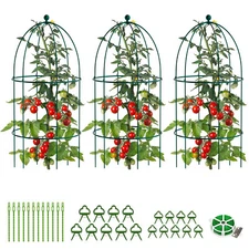 SLSY 3 Pack Plant Cage Support, 31.5"H Peony Support Cage Plants Support Frame