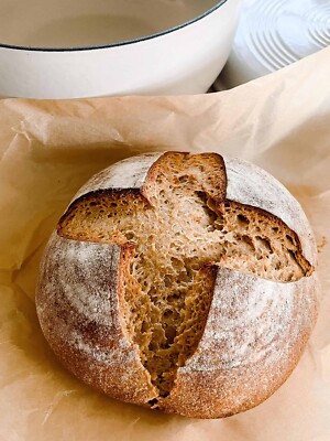 Sourdough Starter Dehydrated Active Sour San Francisco - 15 Gram Bag
