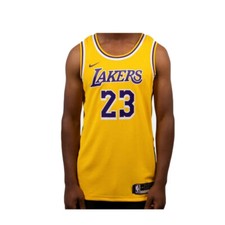 Nike NBA LA Lakers Jersey LeBron James Icon Edition Swingman AA7099-741