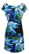 Jessica Howard Women's Cap Sleeve Boat-Neck Stretch Shift Dress, NEW Multi, 4P