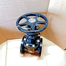 6GA10AB1LFA 4"FLANGE CAST IRON FULL PORT  GATE VALVE 125 CLASS