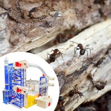 DIY ANT Farm with Feeding Area Modern for Kids Adults Habitat Science Kit