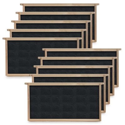 Beehive 10 Frame Add-On Deep Replacement Frames Langstroth Beekeeping