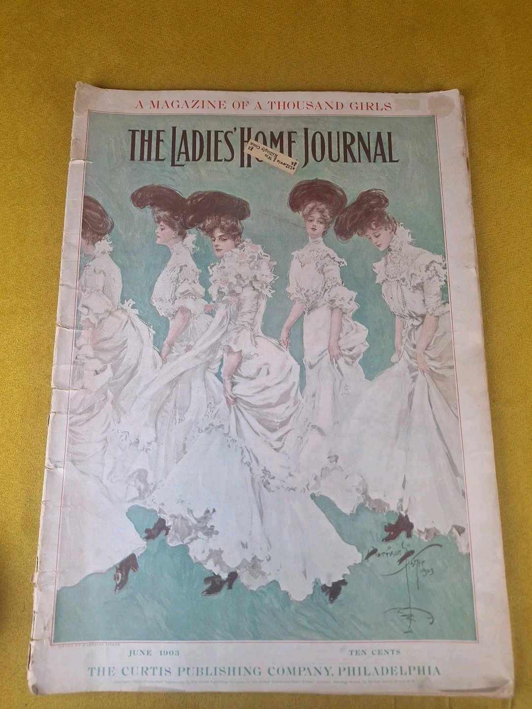 Ladies' Home Journal June 1903